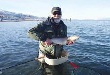 World-class fishery at Pyramid Lake