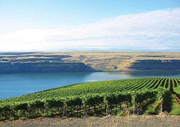 092216-wine_the-mighty-columbia_c-washington-wine-commission