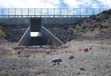 Stampede Dam dike to be raised