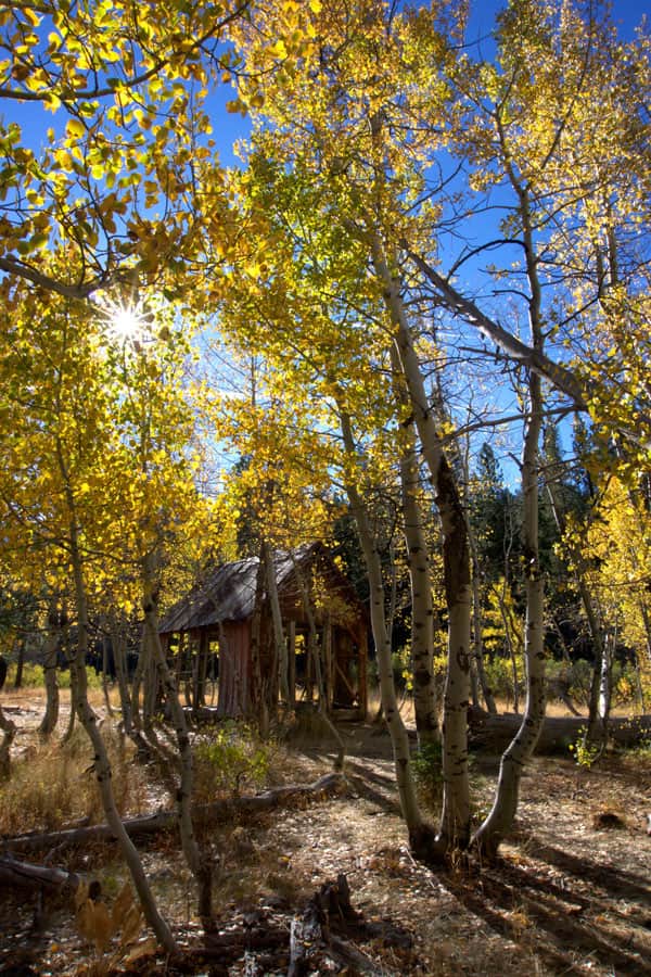 shack_1
