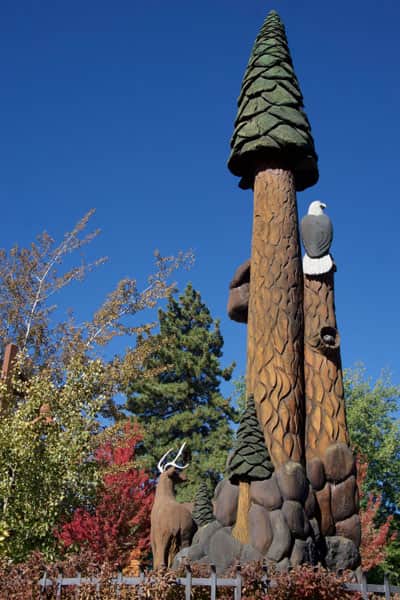 tc_tree