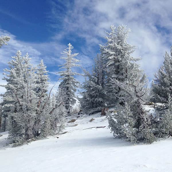 111716-firstski_timh_0725