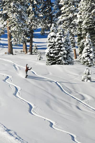 121516-skicheap_c-tahoedonnerdownhill_mrc6158