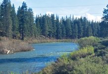 Early season fishing