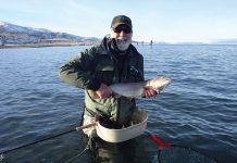 Pyramid Lake world-class fishery