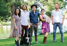 Crow and the Canyon | Touring with dogs