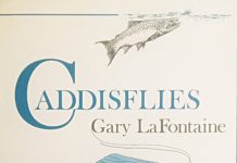 Caddisflies hatches prolific on Truckee