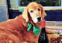 California Chardonnays perfect for winter