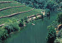 Find winter comfort in port wines