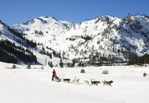Winter fun in Tahoe for the whole family