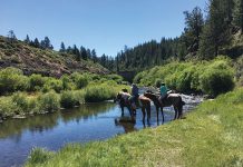 Riding Through the Sage