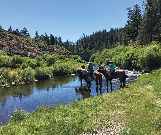 Riding Through the Sage