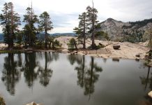 Chinese Catfish Pond: Mountain Myth?