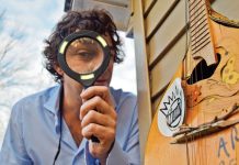 The Dean Ween Group
