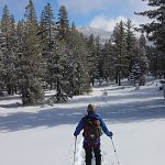 122718-Chickadee-Ridge_snowshoe_c.Mike-White.eps