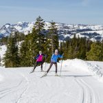 122718-CoverImage_RoyalGorge_c.LeahAlfano