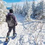 122718-Nordic_Clair-Taapaan_fotolia