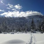 122718-Nordic_Donner-Memorial_kat