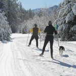 122718-Nordic_LLTC
