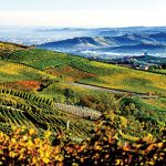 122718-Wine_PASO’S-DIVERSITY