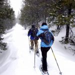 SnowTrails13