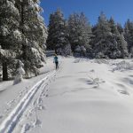 This-is-the-area-up-on-the-Mt.-Rose-highway-where-they-would-like-to-groom