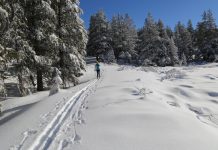 Cross-country trails to open on Mount Rose