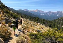 Tahoe Fund gives to Tahoe Rim Trail restoration