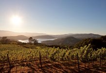 Napa Valley’s Volcanic Side