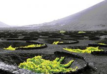 Volcanic Wines from Mediterranean Islands