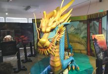 A Day with Dragons