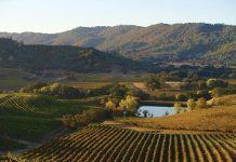 Wine’s Magic Ingredient