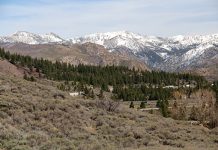 Boca Townsite | Interpretive Trail Beer, Ice and Lumber