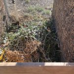 082219-Composting_stuff
