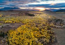 Fall in Tahoe packed with festival fun