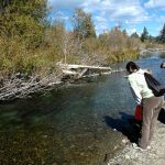 taylor creek