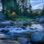 upper truckee river at tahoe pines copy