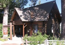 Free museums access this summer