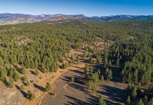 Canyon Springs eyed by land trust