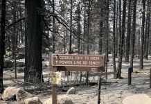 Forest, trail access expanded