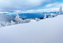 21st Annual Downhill Ski Guide, Winter 2021-22