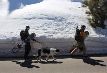 Sno-Parks closed due to fire