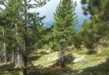 USFS purchases Cold Creek