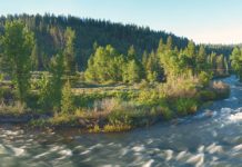 Truckee Springs grows to 67 acres