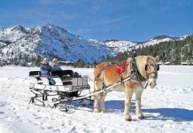 16th Annual Ultimate Tahoe Winter Bucket List 2023