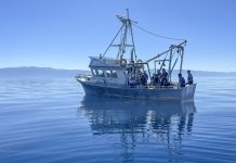Lake Tahoe’s average clarity dropped to 68.2 feet in 2023