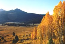 Tahoe’s fiery fall foliage: Fall outings to make the most of the season