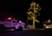 Sparkle into the holidays with Tahoe tree lightings