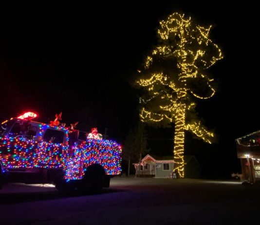 Sparkle into the holidays with Tahoe tree lightings