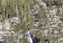 Carpenter Valley headwaters protected
